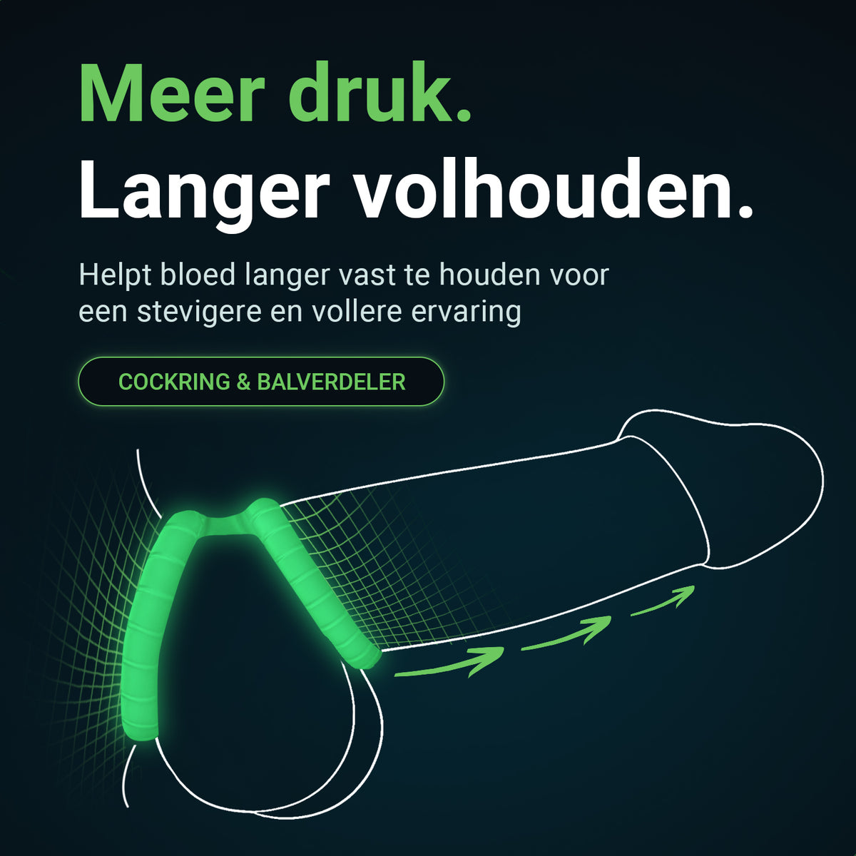 Glowloop Dual cock ring and ball divider helps hold blood in longer for a fuller experience