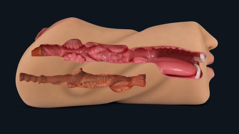 Cross-section of Emily's inside: textured channel with ribs and nubs, mouth with tongue and teeth