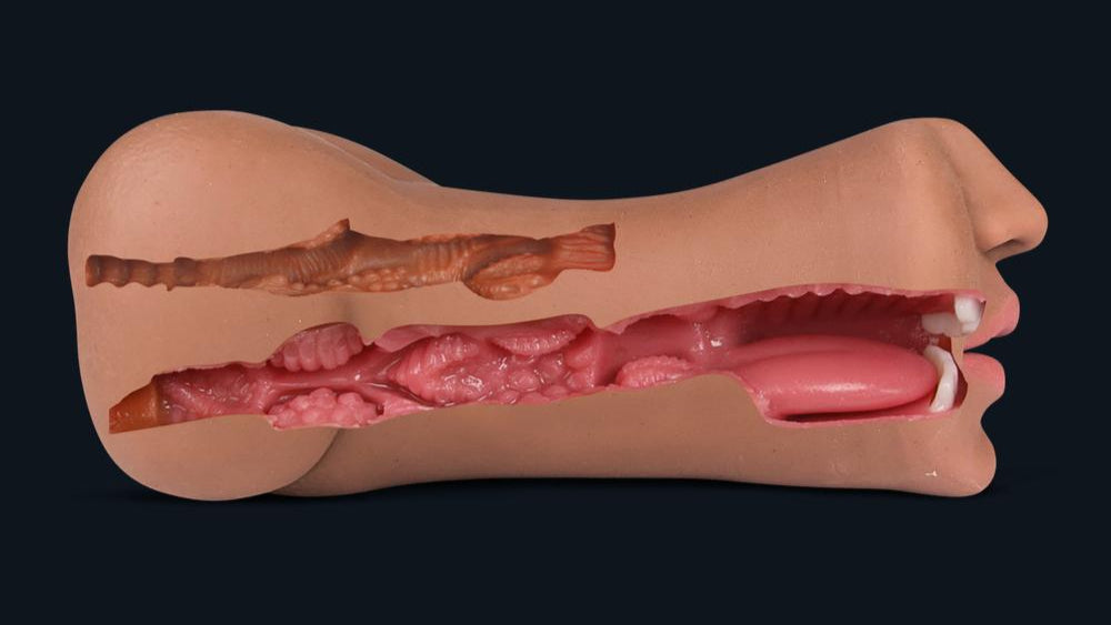 Sezione dell'interno di Suzan: canale strutturato con rilievi e noduli, bocca con lingua e denti